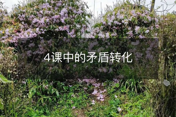 4課中的矛盾轉(zhuǎn)化