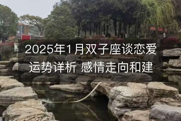 2025年1月雙子座談戀愛運(yùn)勢(shì)詳析 感情走向和建議