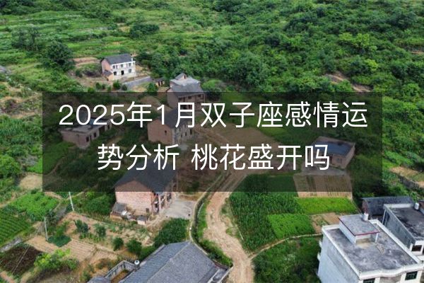 2025年1月雙子座感情運勢分析 桃花盛開嗎