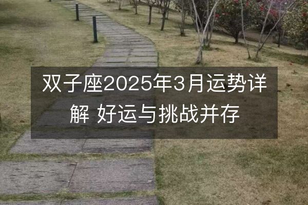 雙子座2025年3月運(yùn)勢(shì)詳解 好運(yùn)與挑戰(zhàn)并存