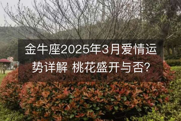 金牛座2025年3月愛情運勢詳解 桃花盛開與否？