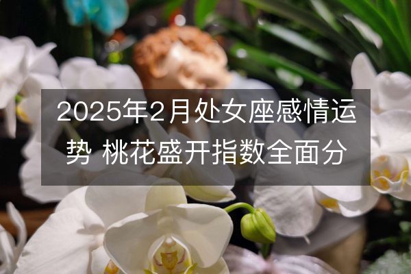 2025年2月處女座感情運(yùn)勢 桃花盛開指數(shù)全面分析